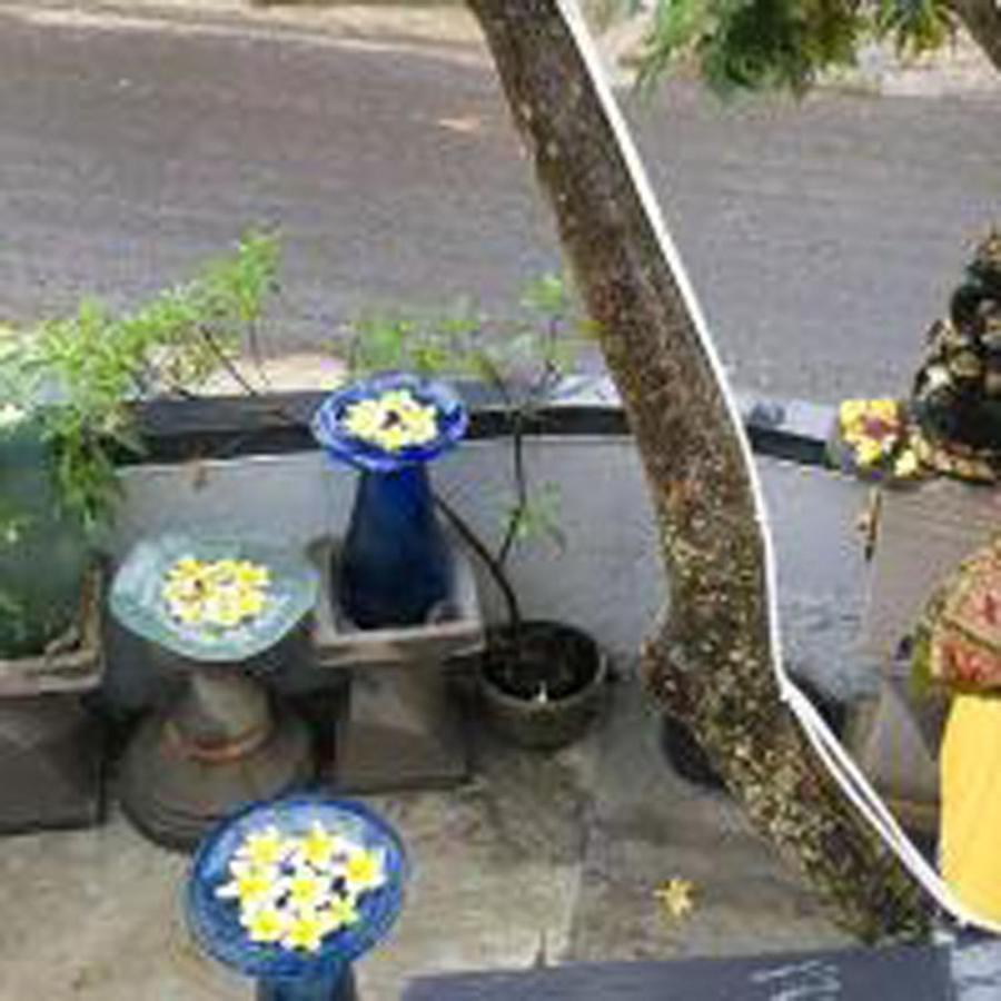 Bulan Bali Guest House Ubud  Ngoại thất bức ảnh